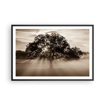 Póster en marco negro - Un árbol de buenas noticias  - 91x61 cm