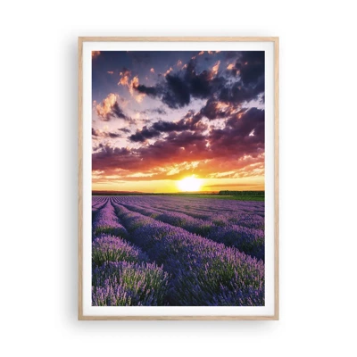 Póster en marco roble claro - El mundo de la lavanda - 70x100 cm