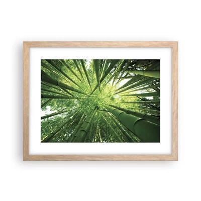 Póster en marco roble claro - En un bosquecillo de bambú - 40x30 cm