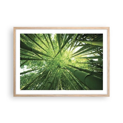 Póster en marco roble claro - En un bosquecillo de bambú - 70x50 cm