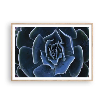 Póster en marco roble claro - Flor del desierto - 100x70 cm