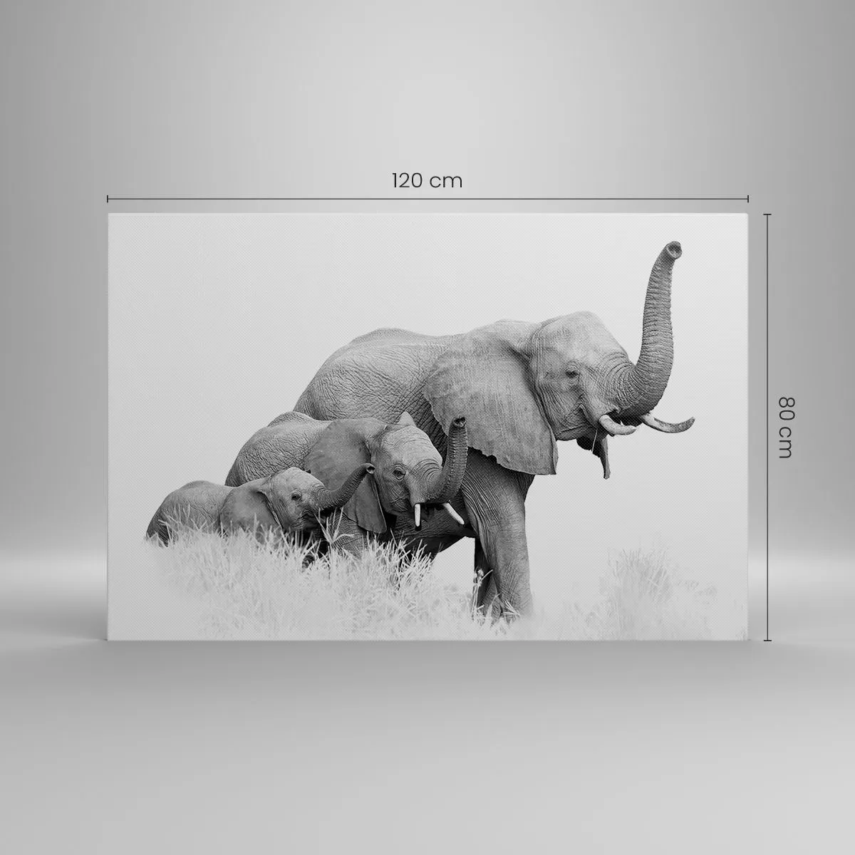 Set de 3 cuadros de animales fotoimpresos sobre lienzo en blanco y negro de  50x70 cm