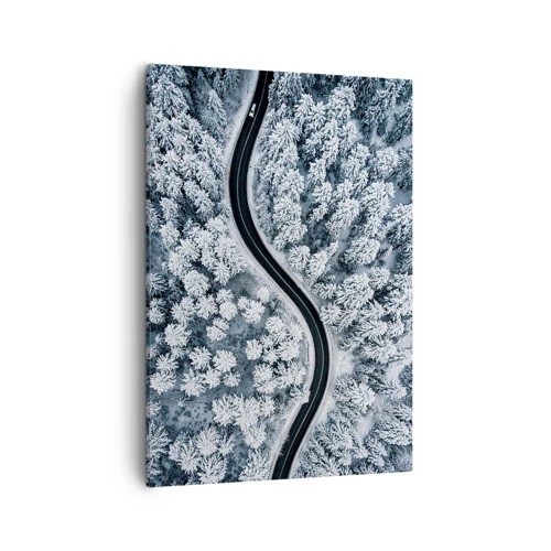 Cuadro sobre lienzo - Impresión de Imagen - A través de un bosque invernal - 50x70 cm