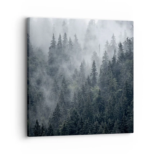 Cuadro sobre lienzo - Impresión de Imagen - Amanecer en el bosque - 30x30 cm