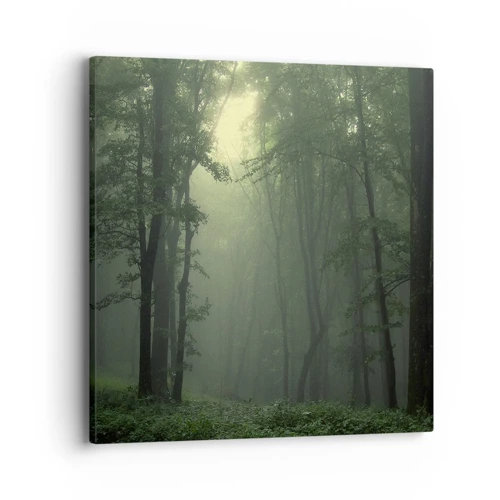 Cuadro sobre lienzo - Impresión de Imagen - Antes de que se despierte el bosque - 40x40 cm