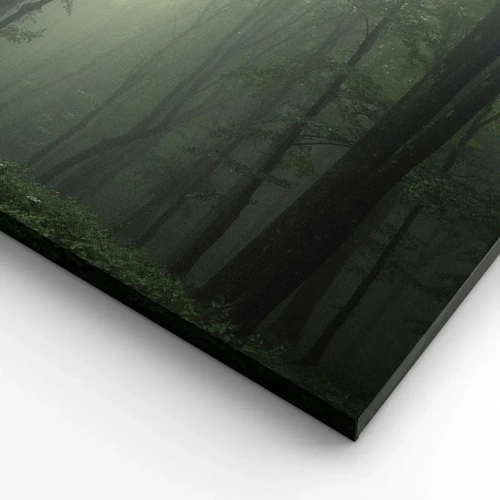 Cuadro sobre lienzo - Impresión de Imagen - Antes de que se despierte el bosque - 65x120 cm