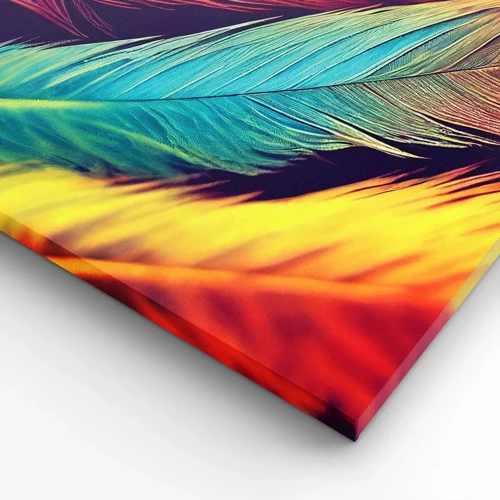 Cuadro sobre lienzo - Impresión de Imagen - Arco iris plumoso - 140x50 cm