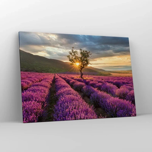 Cuadro sobre lienzo - Impresión de Imagen - Aroma en lila - 100x70 cm