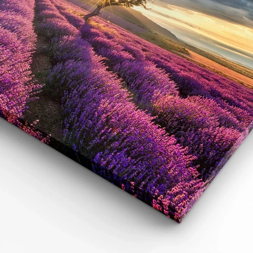 Cuadro sobre lienzo - Impresión de Imagen - Aroma en lila - 100x70 cm