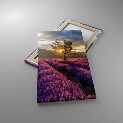 Cuadro sobre lienzo - Impresión de Imagen - Aroma en lila - 45x80 cm