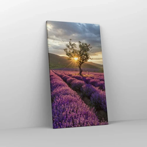 Cuadro sobre lienzo - Impresión de Imagen - Aroma en lila - 45x80 cm