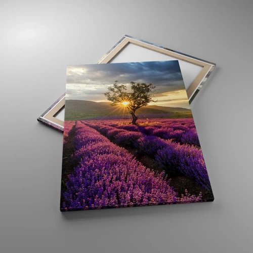 Cuadro sobre lienzo - Impresión de Imagen - Aroma en lila - 70x100 cm