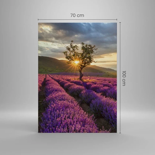 Cuadro sobre lienzo - Impresión de Imagen - Aroma en lila - 70x100 cm