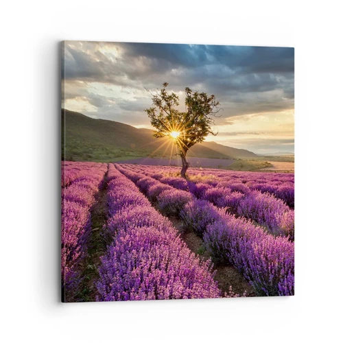 Cuadro sobre lienzo - Impresión de Imagen - Aroma en lila - 70x70 cm