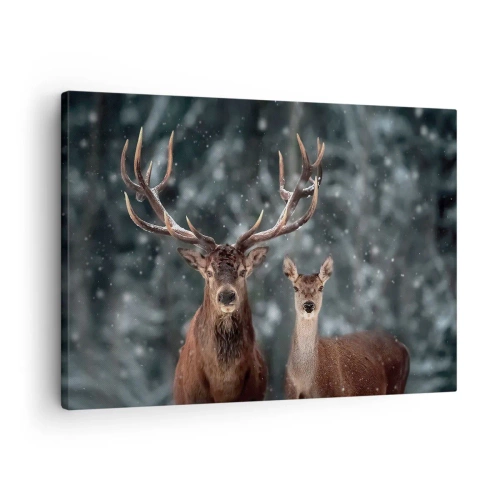 Cuadro sobre lienzo, Impresión de Imagen Arttor 70x50 cm - El señor y la señora del bosque - Ciervo, Renos, Animales, Nieve, Naturaleza, Para el salón, Para el dormitorio, Marrón, Negro, Horizontal, Lienzo, AA70x50-5060