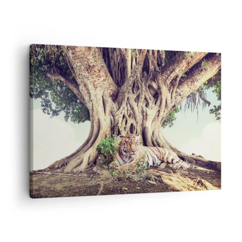 Cuadro sobre lienzo, Impresión de Imagen Arttor 70x50 cm - Una visión desde el Génesis - Tigre De Bengala, India, Paisaje, Naturaleza, Árbol, Para el salón, Para el dormitorio, Blanco, Marrón, Horizontal, Lienzo, AA70x50-5124