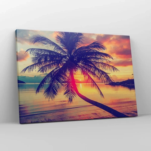 Cuadro sobre lienzo - Impresión de Imagen - Atardecer bajo las palmeras - 70x50 cm