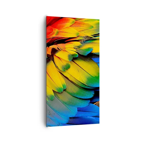 Cuadro sobre lienzo - Impresión de Imagen - Ave del paraíso - 65x120 cm