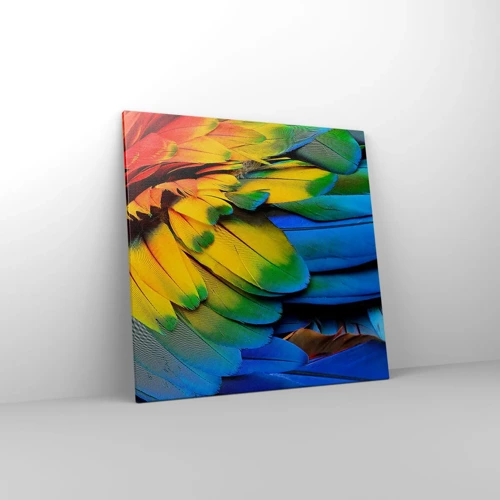Cuadro sobre lienzo - Impresión de Imagen - Ave del paraíso - 70x70 cm