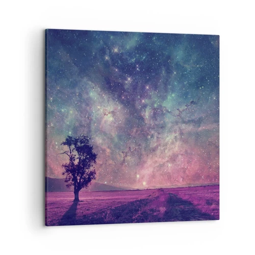 Cuadro sobre lienzo - Impresión de Imagen - Bajo un cielo mágico - 50x50 cm