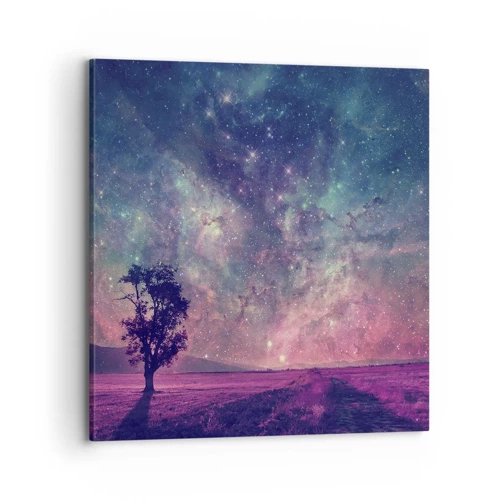 Cuadro sobre lienzo - Impresión de Imagen - Bajo un cielo mágico - 70x70 cm