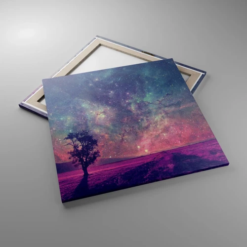 Cuadro sobre lienzo - Impresión de Imagen - Bajo un cielo mágico - 70x70 cm