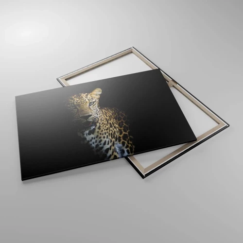 Cuadro sobre lienzo - Impresión de Imagen - Belleza oscura - 100x70 cm