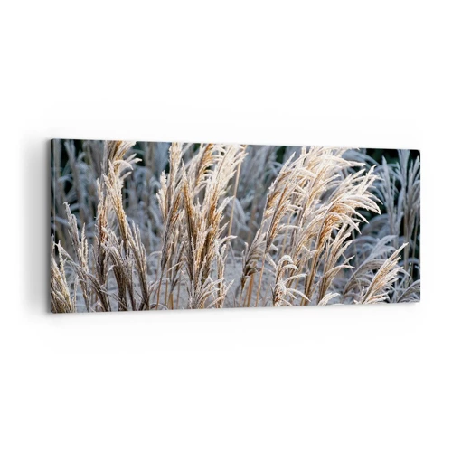 Cuadro sobre lienzo - Impresión de Imagen - Campos y campos - 100x40 cm