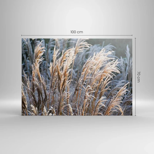 Cuadro sobre lienzo - Impresión de Imagen - Campos y campos - 100x70 cm