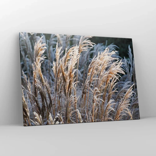 Cuadro sobre lienzo - Impresión de Imagen - Campos y campos - 100x70 cm