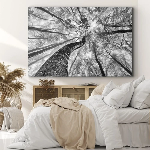 Cuadro sobre lienzo - Impresión de Imagen - Carrera hacia la luz - 70x50 cm