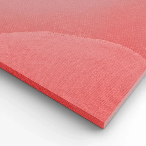 Cuadro sobre lienzo - Impresión de Imagen - Composición orgánica en rosa - 100x70 cm
