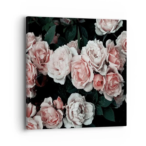 Cuadro sobre lienzo - Impresión de Imagen - Conjunto de rosas - 40x40 cm