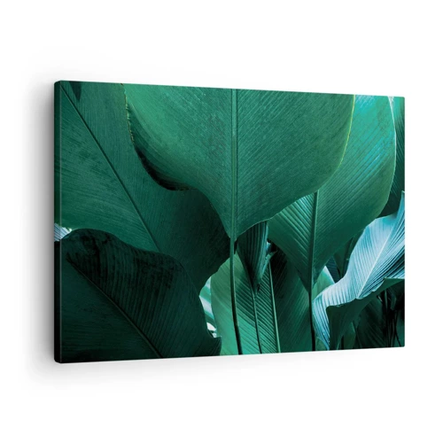 Cuadro sobre lienzo - Impresión de Imagen - De cara a la luz - 70x50 cm