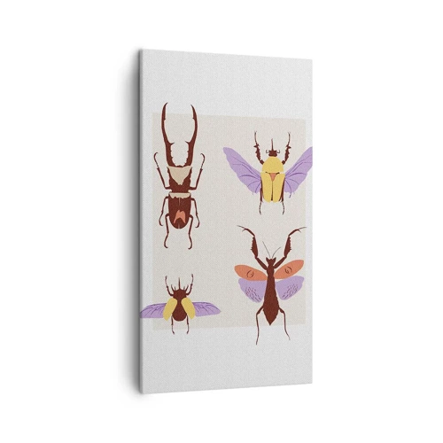 Cuadro sobre lienzo - Impresión de Imagen - El mundo de los insectos - 45x80 cm
