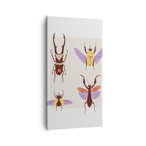 Cuadro sobre lienzo - Impresión de Imagen - El mundo de los insectos - 55x100 cm