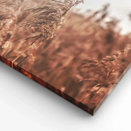 Cuadro sobre lienzo - Impresión de Imagen - El otoño ya está en los campos - 65x120 cm
