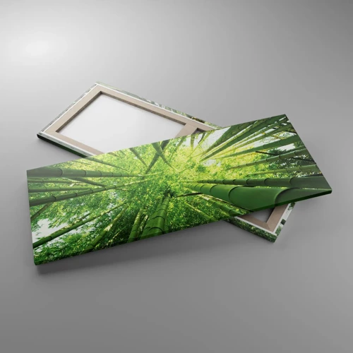 Cuadro sobre lienzo - Impresión de Imagen - En un bosquecillo de bambú - 100x40 cm
