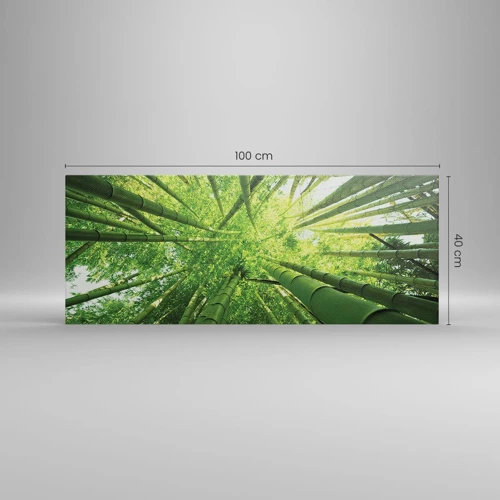 Cuadro sobre lienzo - Impresión de Imagen - En un bosquecillo de bambú - 100x40 cm