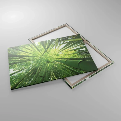 Cuadro sobre lienzo - Impresión de Imagen - En un bosquecillo de bambú - 100x70 cm