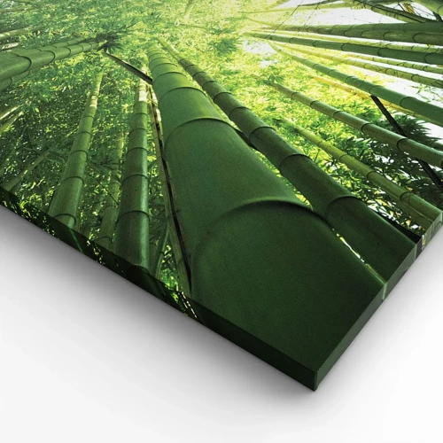 Cuadro sobre lienzo - Impresión de Imagen - En un bosquecillo de bambú - 100x70 cm
