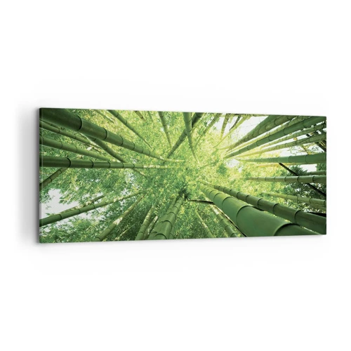 Cuadro sobre lienzo - Impresión de Imagen - En un bosquecillo de bambú - 120x50 cm
