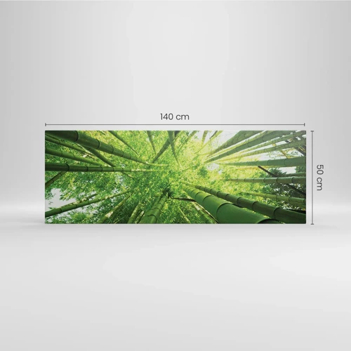 Cuadro sobre lienzo - Impresión de Imagen - En un bosquecillo de bambú - 140x50 cm