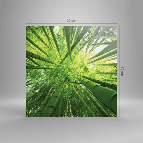 Cuadro sobre lienzo - Impresión de Imagen - En un bosquecillo de bambú - 30x30 cm