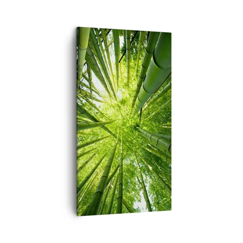 Cuadro sobre lienzo - Impresión de Imagen - En un bosquecillo de bambú - 45x80 cm