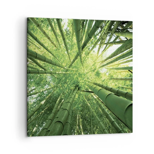 Cuadro sobre lienzo - Impresión de Imagen - En un bosquecillo de bambú - 50x50 cm