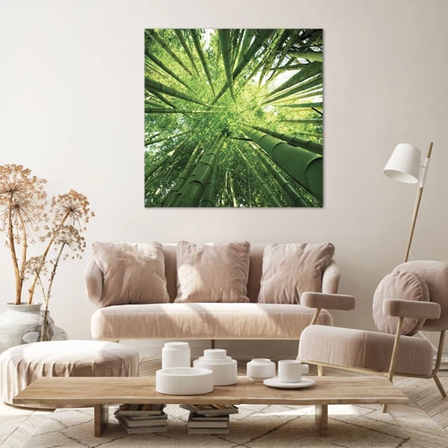Cuadro sobre lienzo - Impresión de Imagen - En un bosquecillo de bambú - 50x50 cm