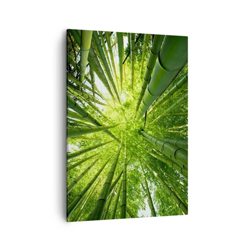 Cuadro sobre lienzo - Impresión de Imagen - En un bosquecillo de bambú - 50x70 cm