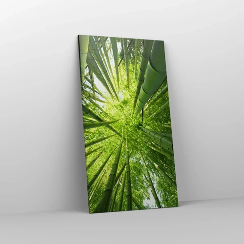 Cuadro sobre lienzo - Impresión de Imagen - En un bosquecillo de bambú - 55x100 cm
