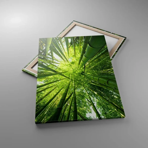 Cuadro sobre lienzo - Impresión de Imagen - En un bosquecillo de bambú - 70x100 cm